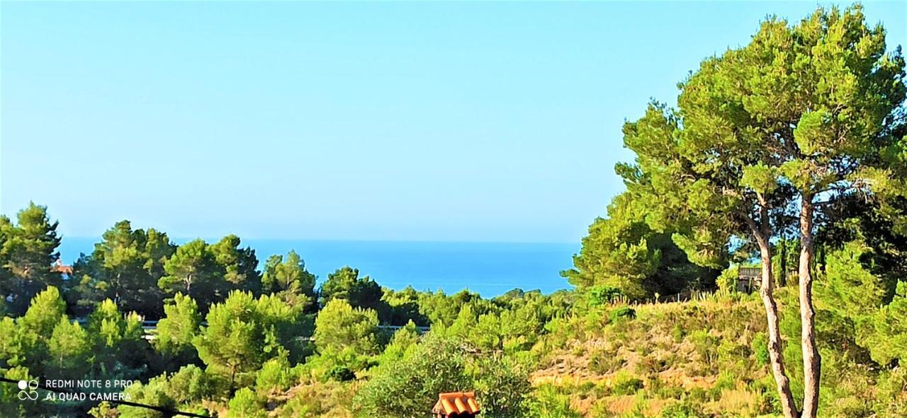 Bella Galera Villa Altea Ngoại thất bức ảnh